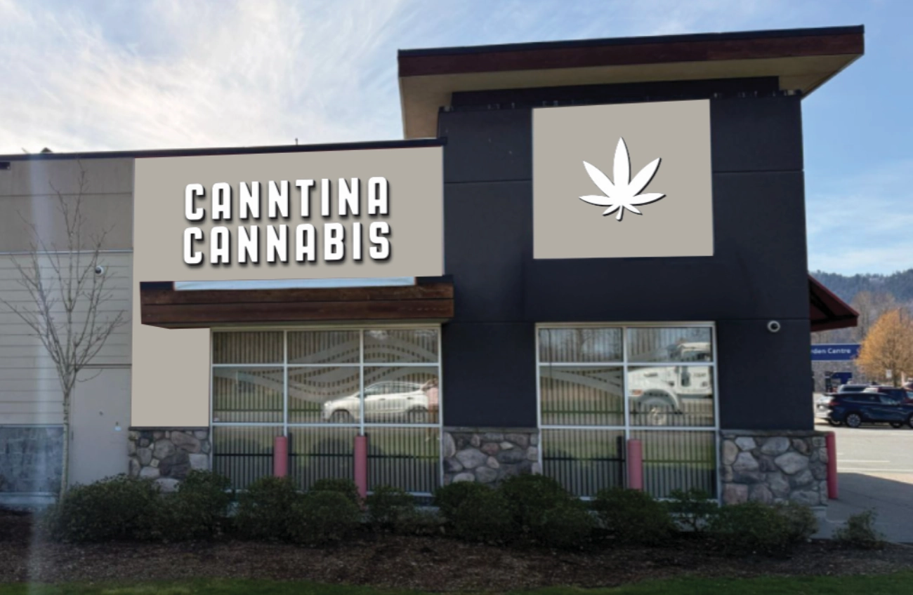 canntina cannabis exterior image rendering of the chilliwack location opening later this year
